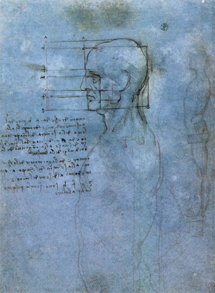 Study of the Proportions of Head and Face 1489-1490